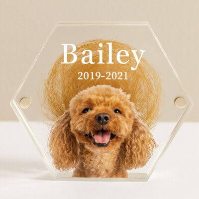 Personalised Acrylic Dog Keepsake with Photo –... Personalised Acrylic Dog Keepsake with Photo –...
