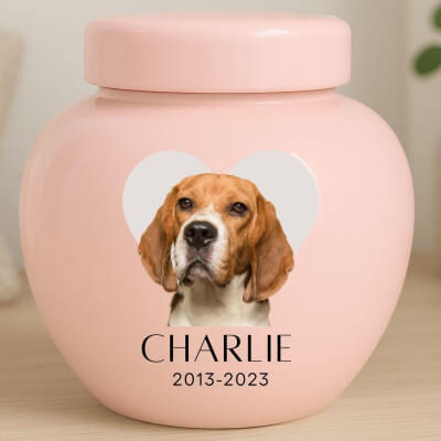 Personalised Ceramic Dog Urn with Photo – Pet...