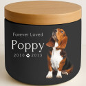 Personalised Ceramic Dog Urn with Photo – Pet Cremation Urn for Ashes with Name, Dates & Tribute