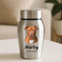 Personalised Dog Urn with Photo – Stainless Steel Memorial Urn with Name & Dates