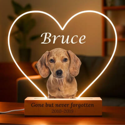 Personalised Dog Memorial Light with Photo –... Personalised Dog Memorial Light with Photo –...