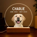 Personalised Dog Memorial Light with Photo – Round LED Pet Tribute Lamp with Engraved Name & Dates on Acrylic Plaque