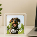 Personalised Acrylic Dog Memorial Frame – Custom Pet Photo Plaque with Name & Heart Paw Design