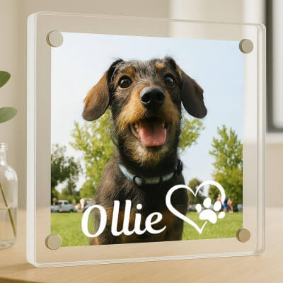 Personalised Acrylic Dog Memorial Frame –... Personalised Acrylic Dog Memorial Frame –...