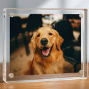 Acrylic Dog Memorial Frame – Rectangle Custom Pet Photo Plaque